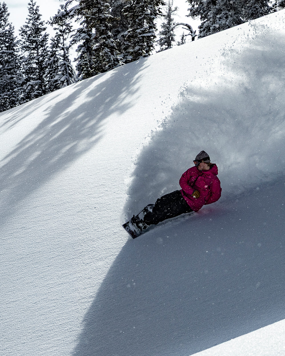 Freeride